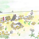 The Adventures of Herschel the Hedgehog