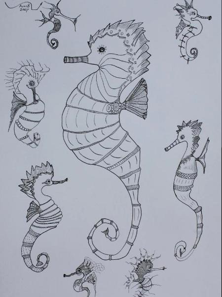 Seahorses