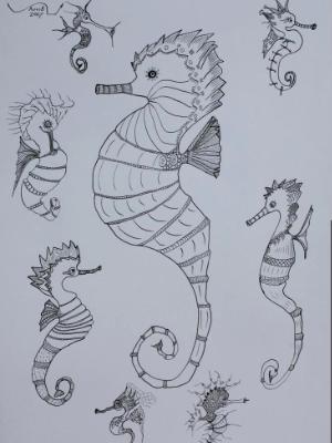 Seahorses