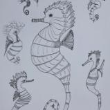 Seahorses